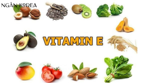 Vitamin e có ở đâu? Nên ăn gì để bổ sung vitamin e nhiều nhất.