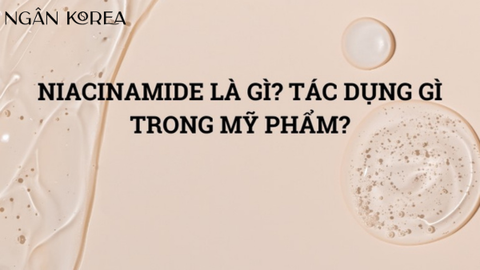 Niacinamide là gì? Niacinamide trong mỹ phẩm có tác dụng gì?