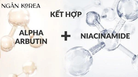 Kết hợp alpha arbutin và niacinamide có được không?