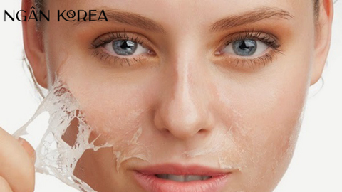 Những điều cần biết về quá trình lão hóa của con người?