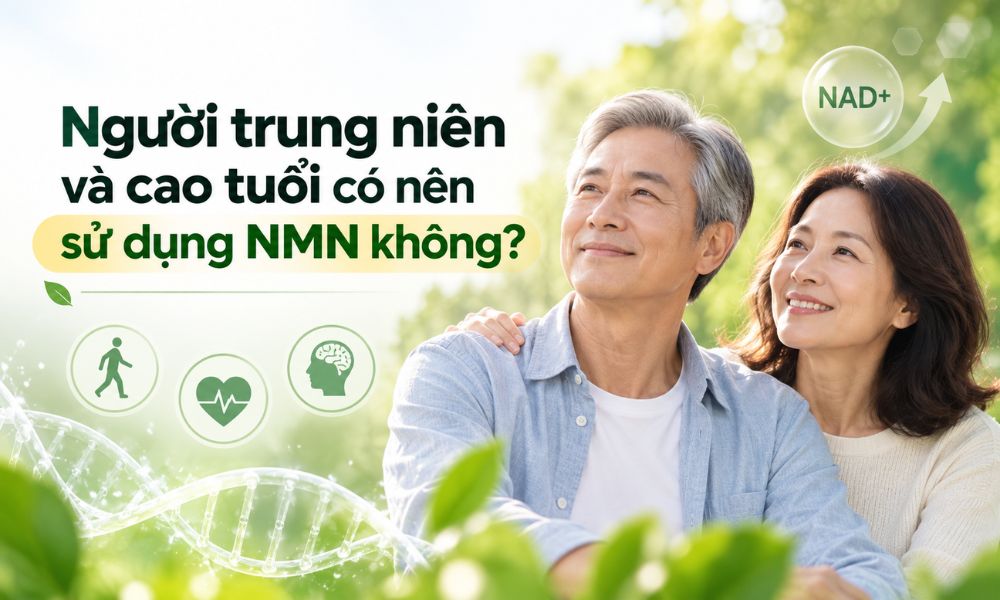 Ai nên sử dụng NMN, người trung niên và cao tuổi là nhóm được quan tâm trong nghiên cứu NMN