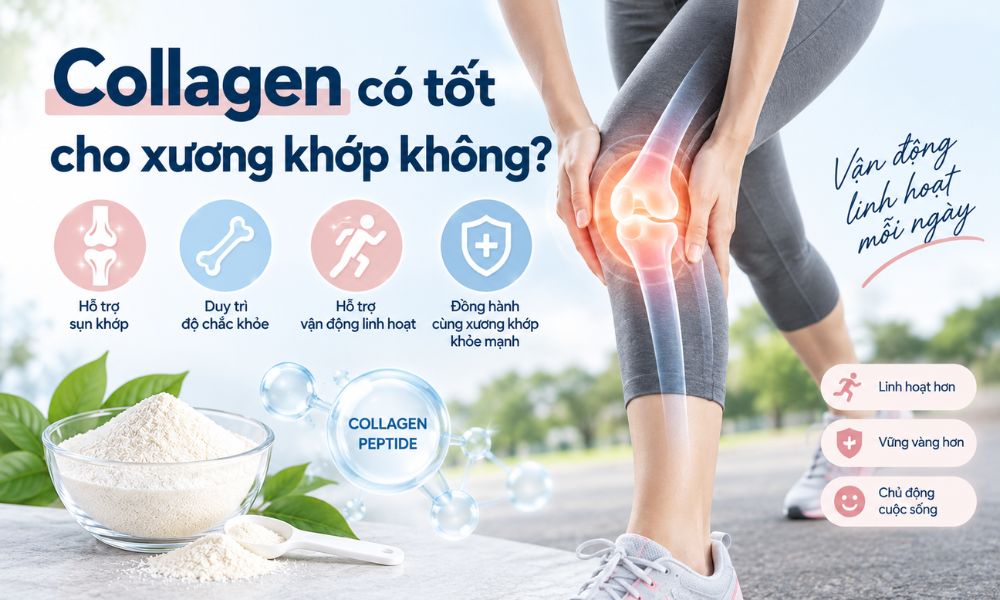Collagen có tốt cho xương khớp không, vai trò của collagen peptide đối với sụn và chức năng khớp