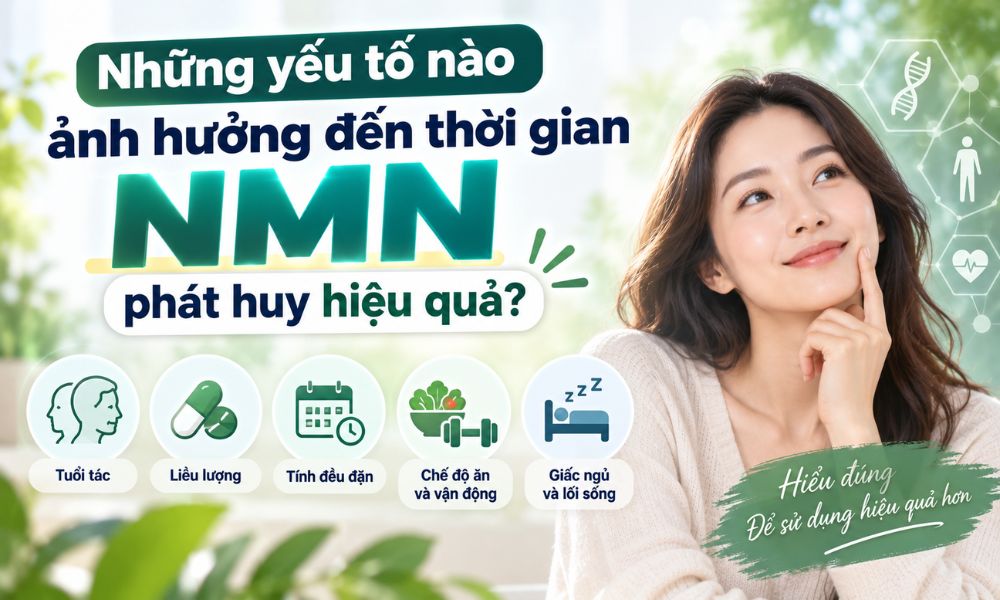 Dùng NMN bao lâu có hiệu quả, các yếu tố ảnh hưởng đến thời gian NMN phát huy hiệu quả