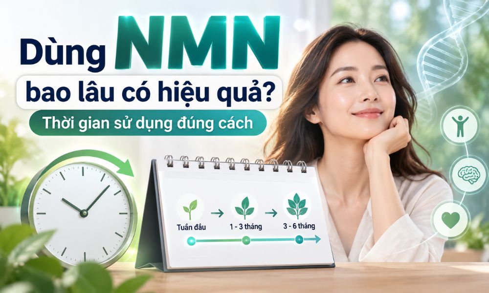 Dùng NMN bao lâu có hiệu quả, thời gian sử dụng NMN đúng cách và đều đặn