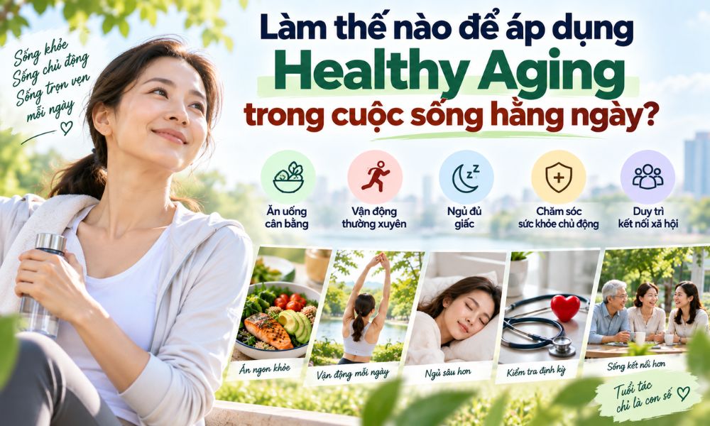 Cách áp dụng Healthy Aging hằng ngày, từ dinh dưỡng, vận động, giấc ngủ đến chăm sóc sức khỏe chủ động