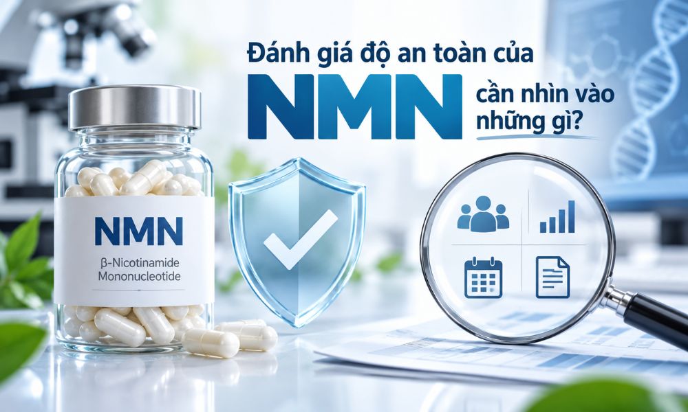 NMN có an toàn không, các yếu tố cần xem xét khi đánh giá độ an toàn của NMN