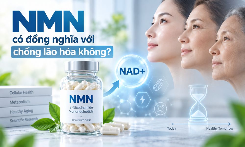 NMN có đồng nghĩa với chống lão hóa, mối liên hệ giữa NMN, NAD+ và nghiên cứu về lão hóa