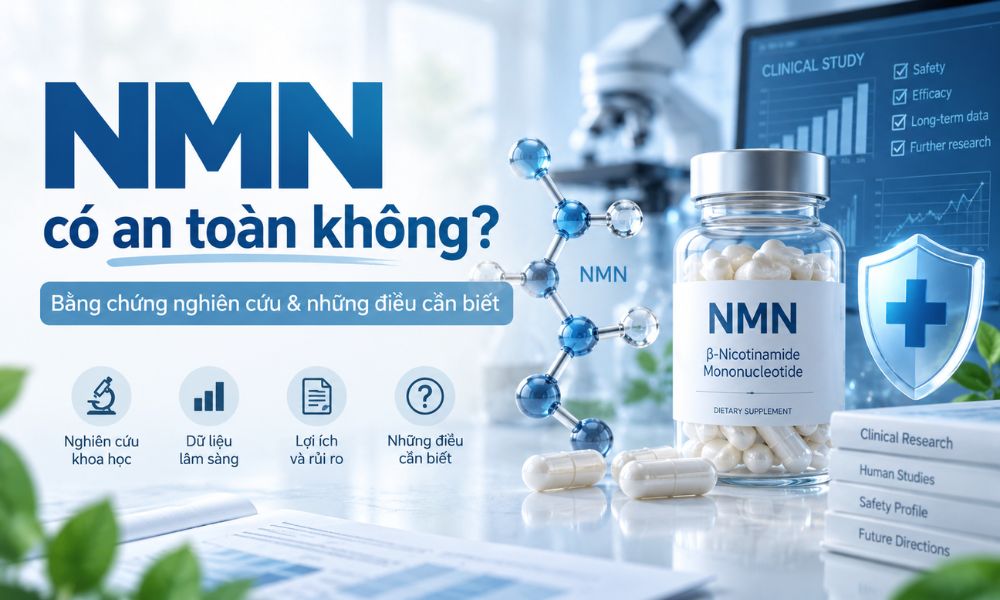NMN có an toàn không, bằng chứng lâm sàng về khả năng dung nạp và sử dụng NMN