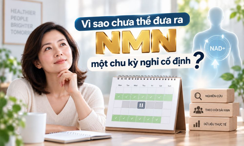 Vì sao chưa thể đưa ra một chu kỳ nghỉ NMN cố định, bằng chứng nghiên cứu về việc sử dụng NMN theo chu kỳ