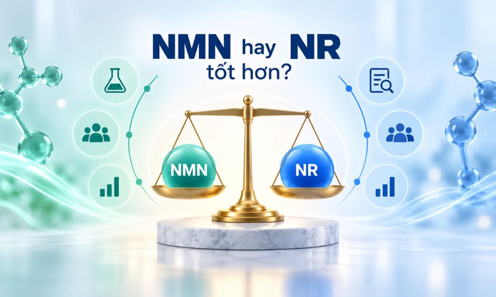 NMN hay NR tốt hơn, so sánh bằng chứng nghiên cứu và khả năng tăng NAD+ tuần hoàn