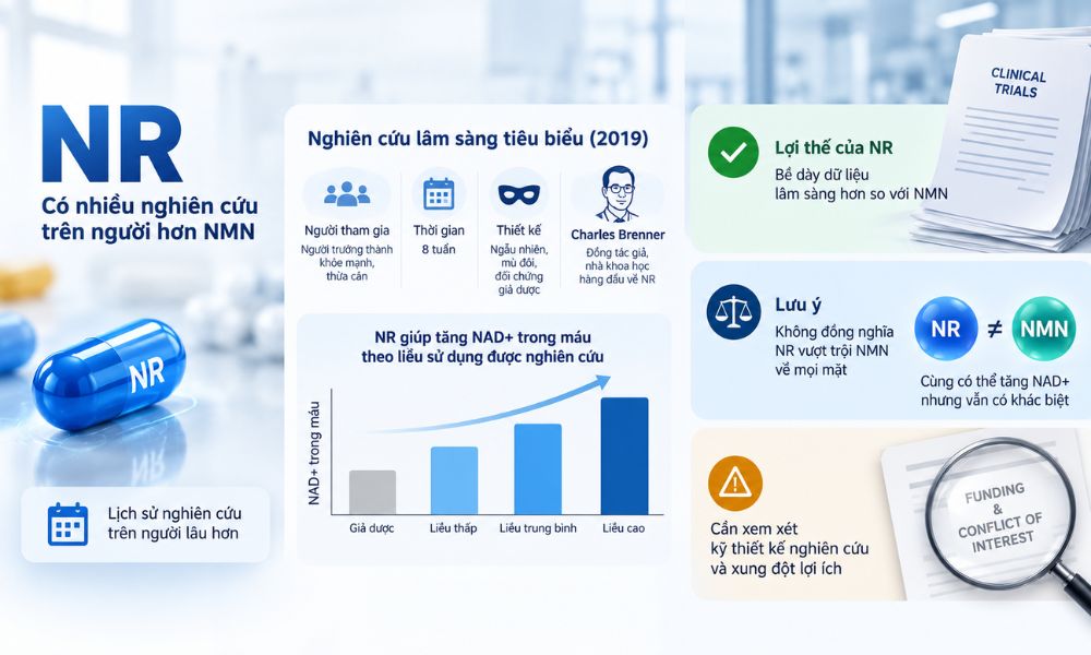 NR có bằng chứng nghiên cứu trên người, so sánh dữ liệu lâm sàng giữa NR và NMN